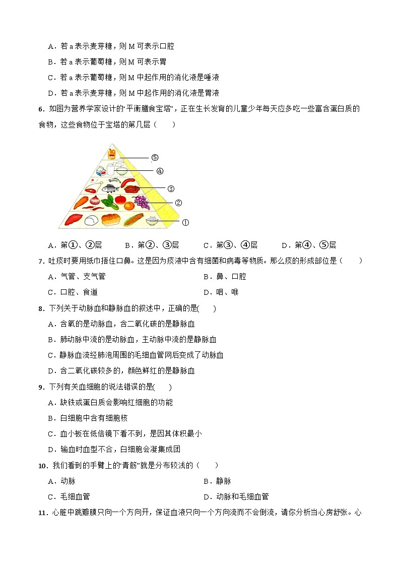 广西北海市银海区2023-2024学年七年级下学期期中质量检测生物试题+02