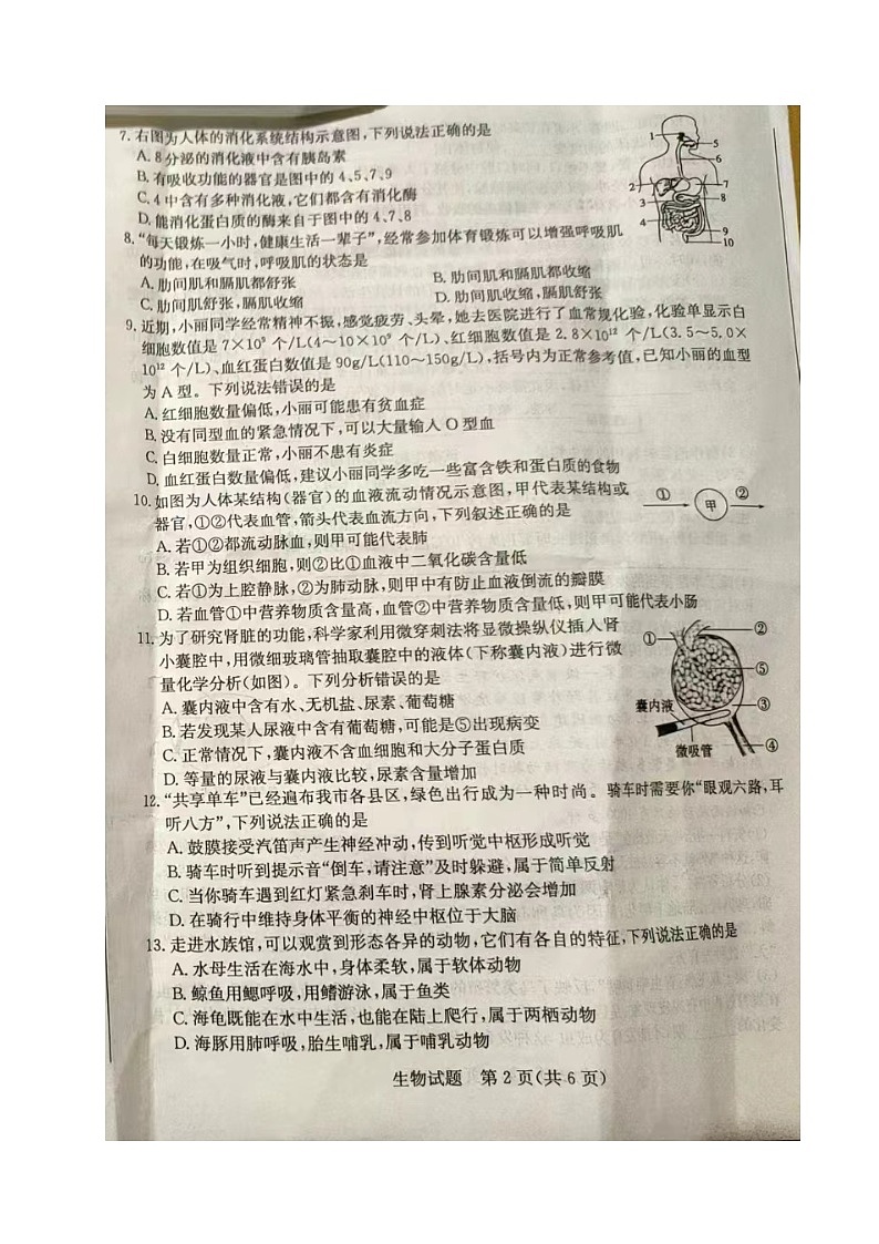 2024年山东省聊城市中考生物试题第2页