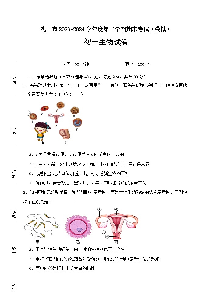 辽宁省沈阳市2023-2024学年七年级下学期期末考试生物模拟试卷第1页