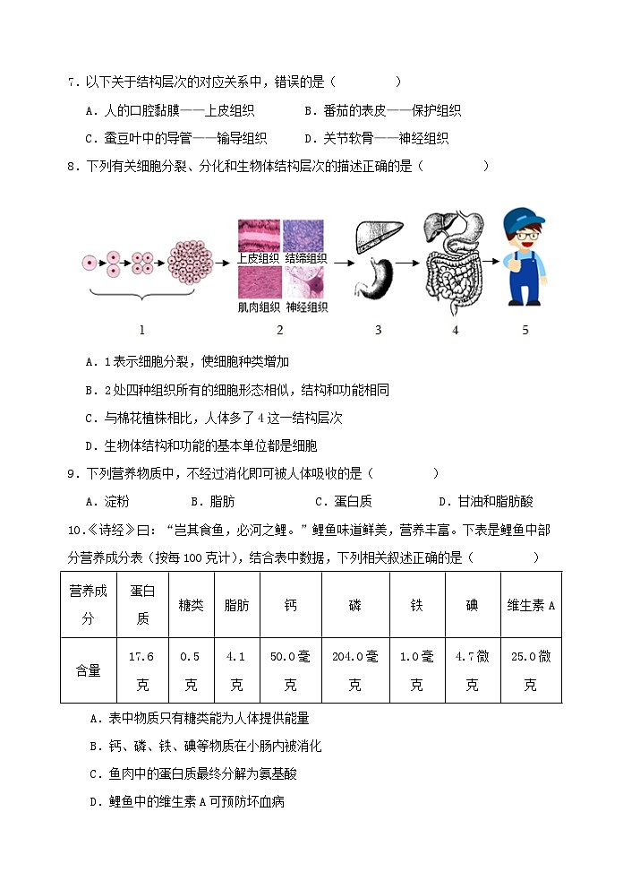 辽宁省沈阳市2023-2024学年七年级下学期期末考试生物模拟试卷第3页