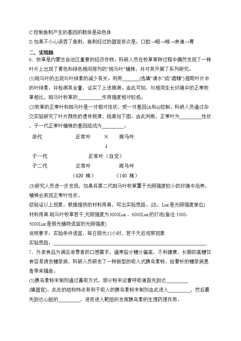内蒙古自治区包头市东河区2024届九年级下学期中考二模生物试卷(含答案)02