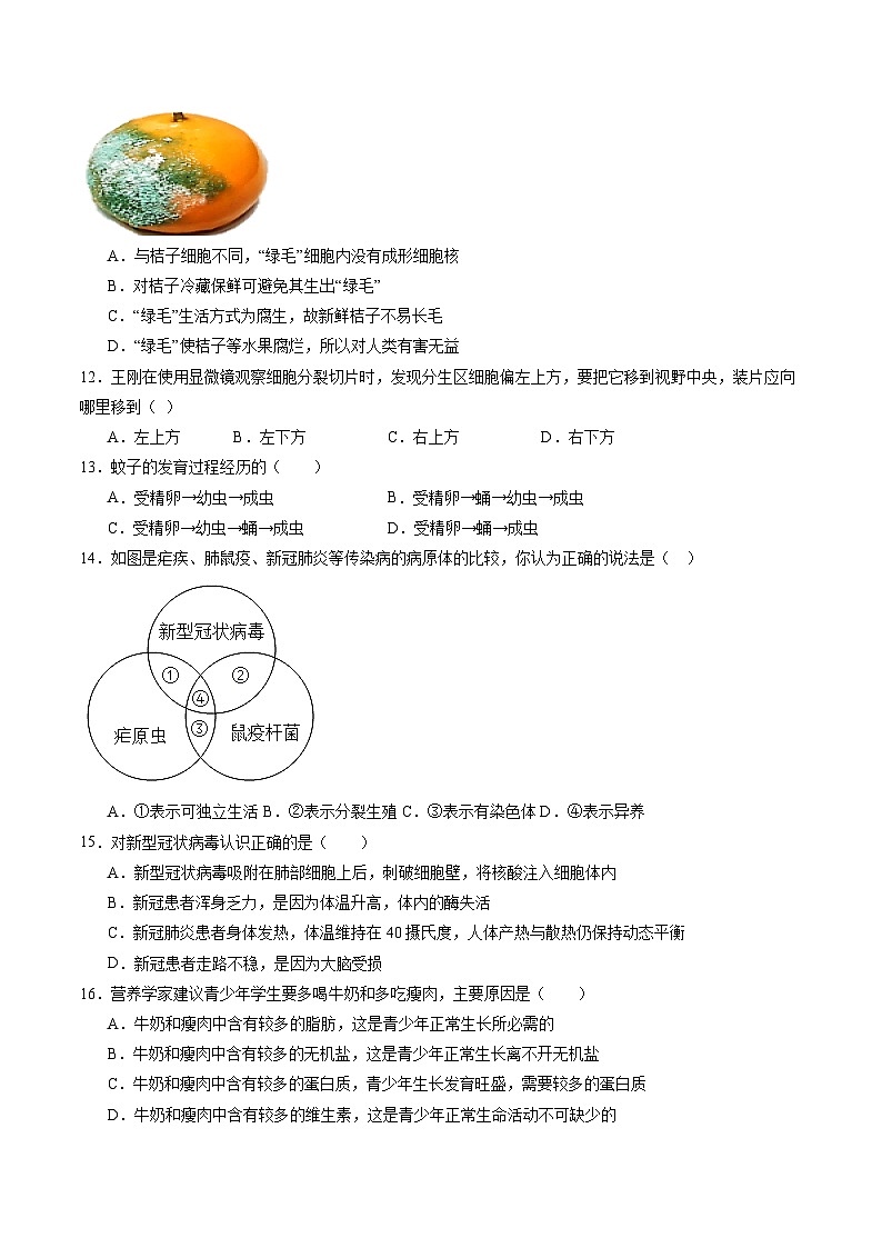 卷05-【临考满分】2024年中考生物临考满分卷（北京卷）（试卷版）第3页