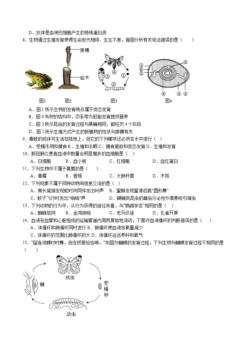 卷01-【临考满分】2024年中考生物临考满分卷（北京卷）（试卷版）第3页