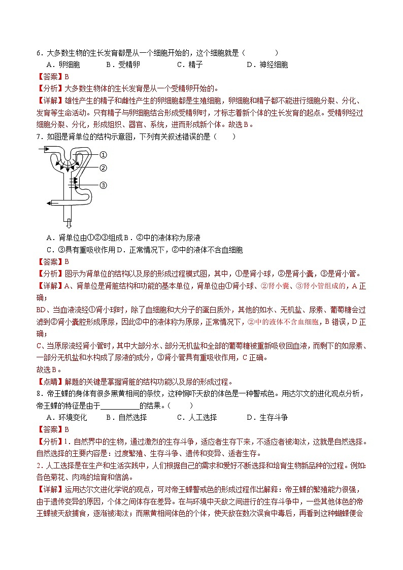 卷04-【临考满分】2024年中考生物临考满分卷（北京卷）（解析版）第3页
