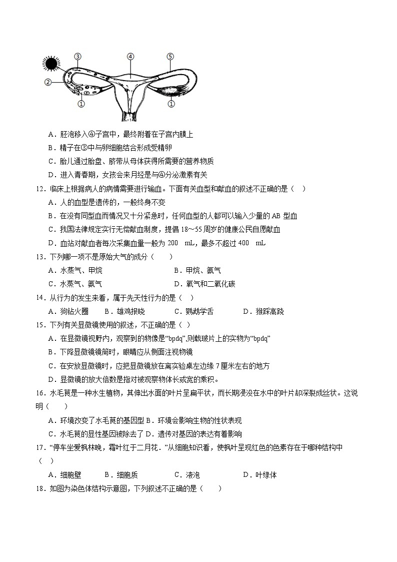 卷02-【临考满分】2024年中考生物临考满分卷（北京卷）（试卷版）第3页