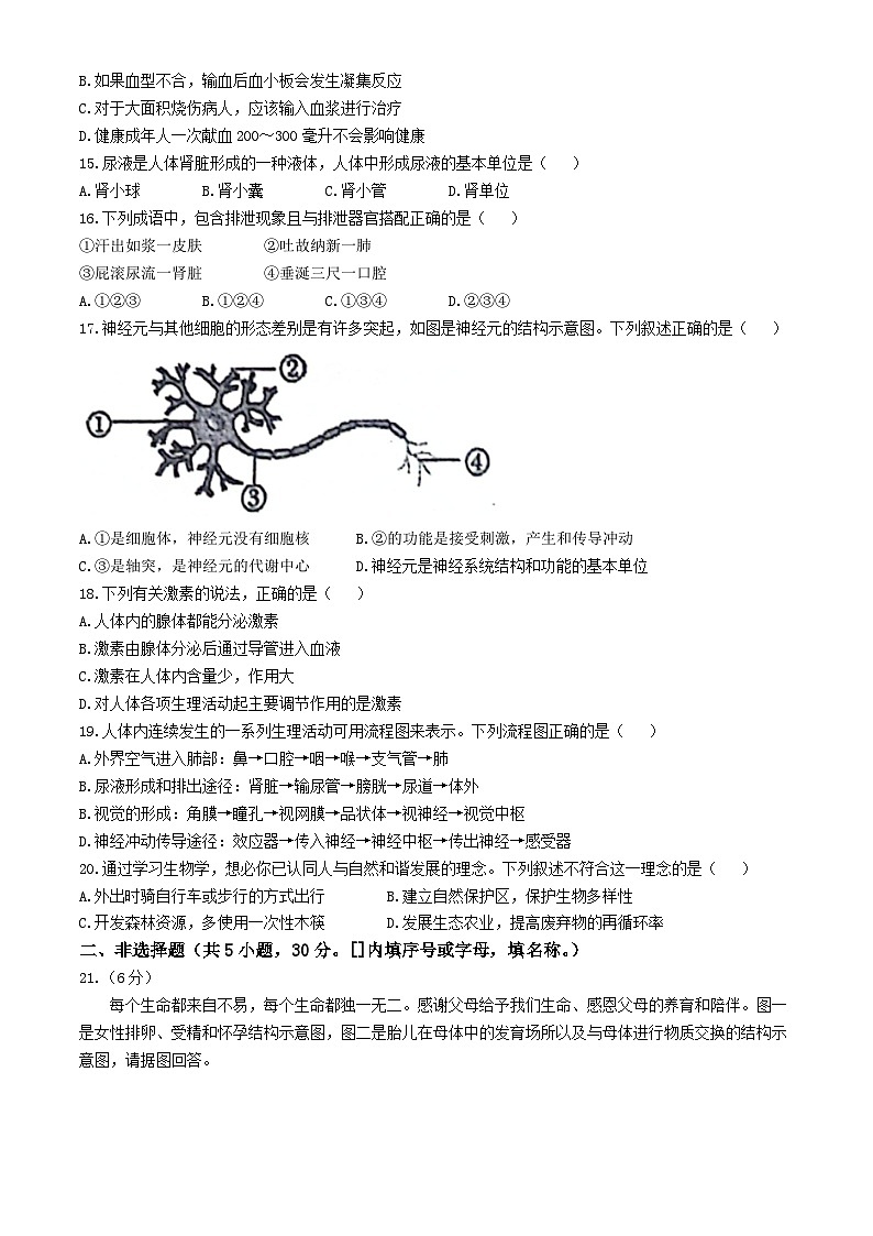 河南省新郑市2023-2024学年七年级下学期6月期末生物试题03