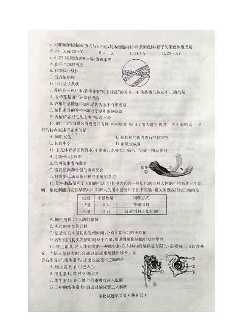 2024年中考真题：山东省烟台市生物试题02
