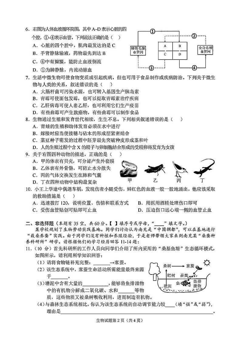2024年中考真题：四川省南充市生物试题02