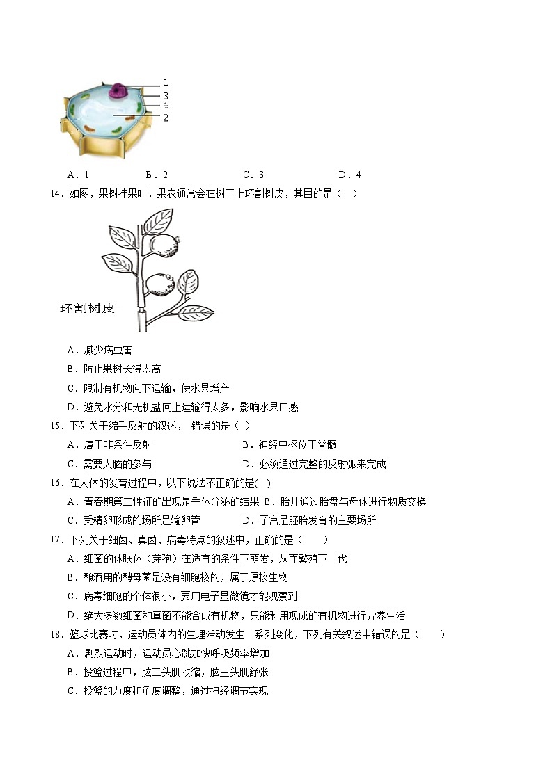 卷02-【临考满分】2024年中考生物临考满分卷（福建卷）（原卷版）第3页