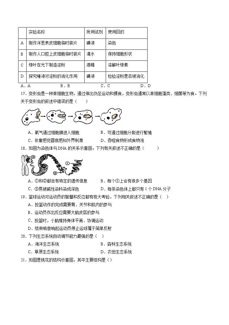 卷04-【临考满分】2024年中考生物临考满分卷（福建卷）（原卷版）第3页