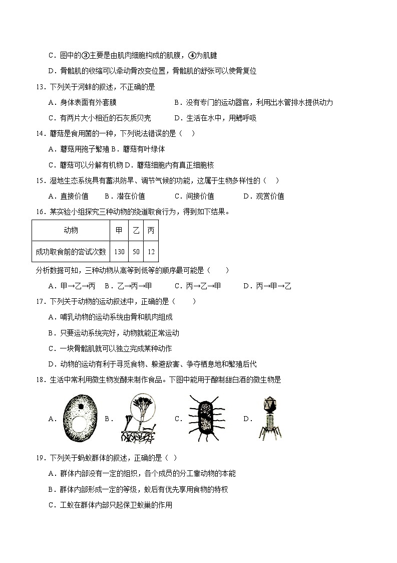 期末模拟卷01（原卷版）第3页