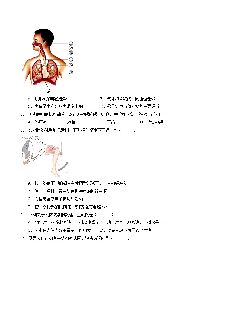 卷04-备战2024年中考生物全真模拟押题卷（全国通用）（试卷版+解析版）03