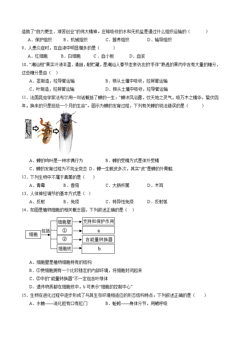 卷04-备战2024年中考生物全真模拟押题卷（广西卷）（试卷版+解析版）02