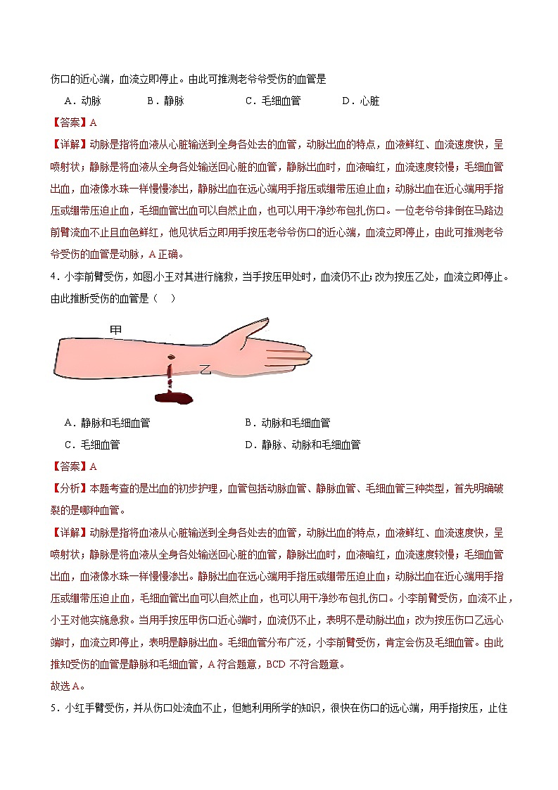 专题七 近心端还是远心端及识别血管（解析版）第2页