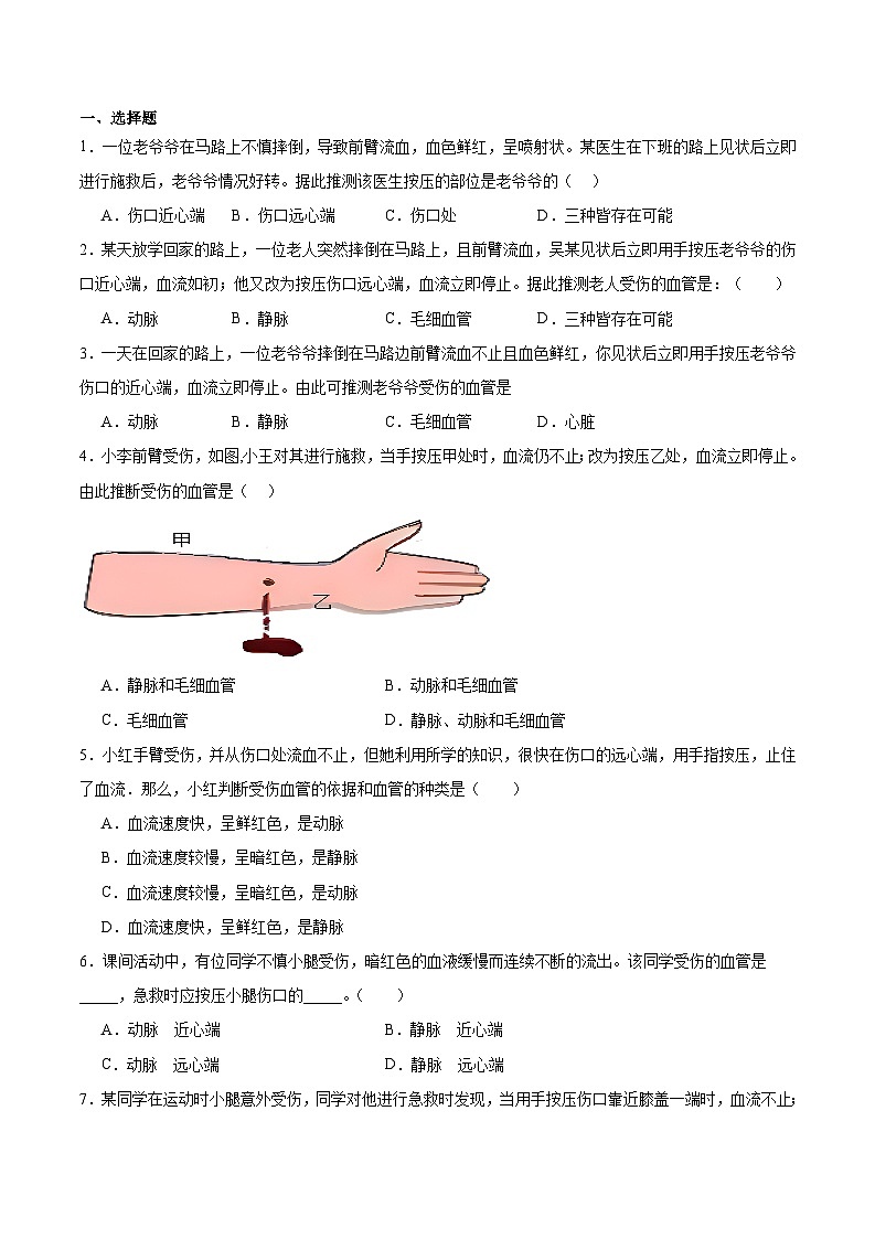 专题七 近心端还是远心端及识别血管（原卷版）第1页