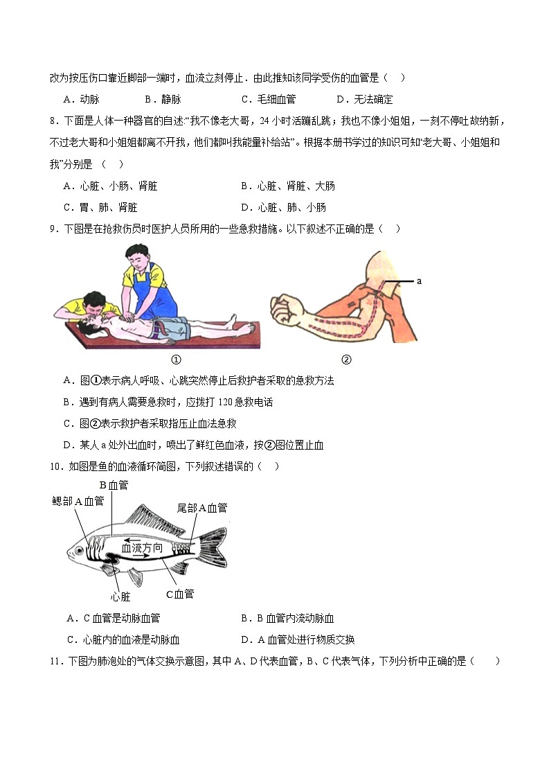 专题七 近心端还是远心端及识别血管（原卷版）第2页