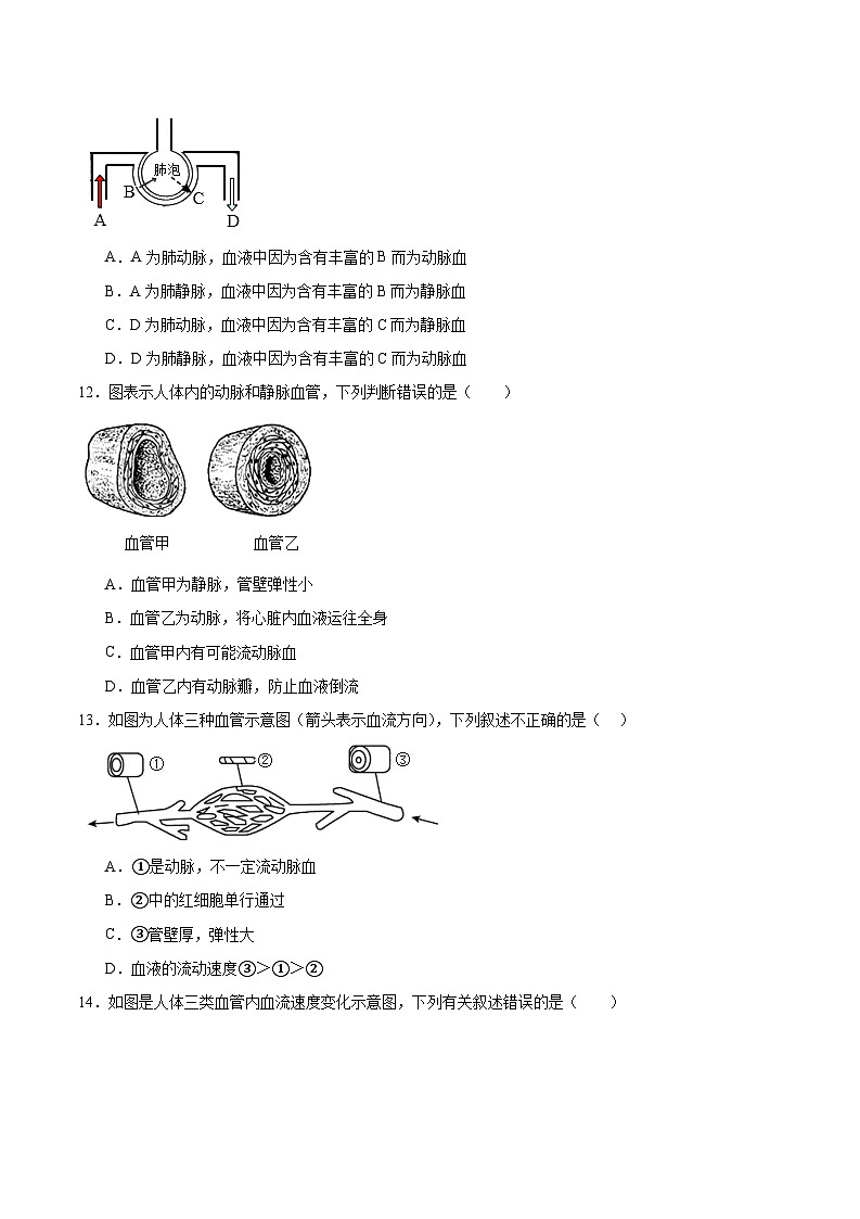 专题七 近心端还是远心端及识别血管（原卷版）第3页
