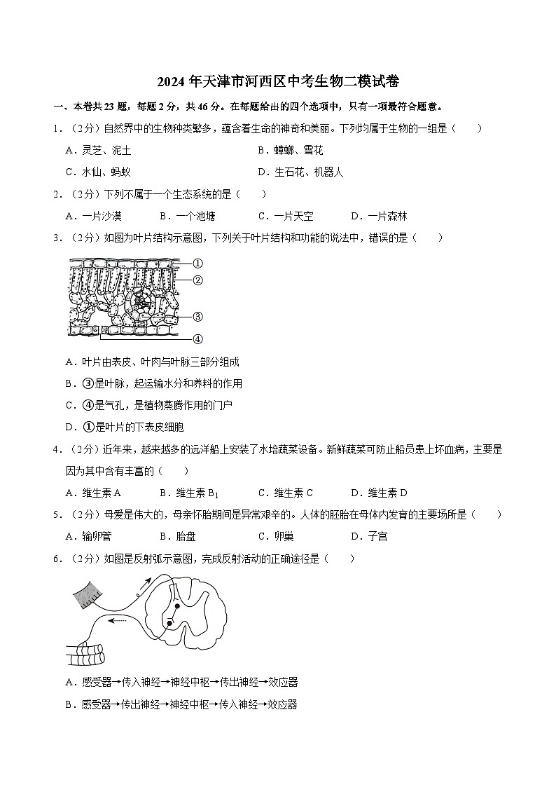 2024年天津市河西区中考生物二模试卷01