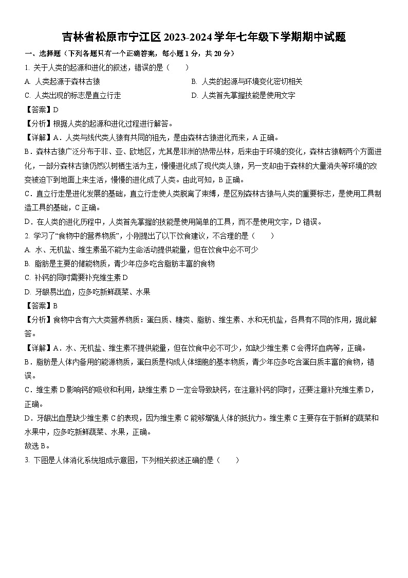 [生物]吉林省松原市宁江区2023-2024学年七年级下学期期中试题（解析版）第1页