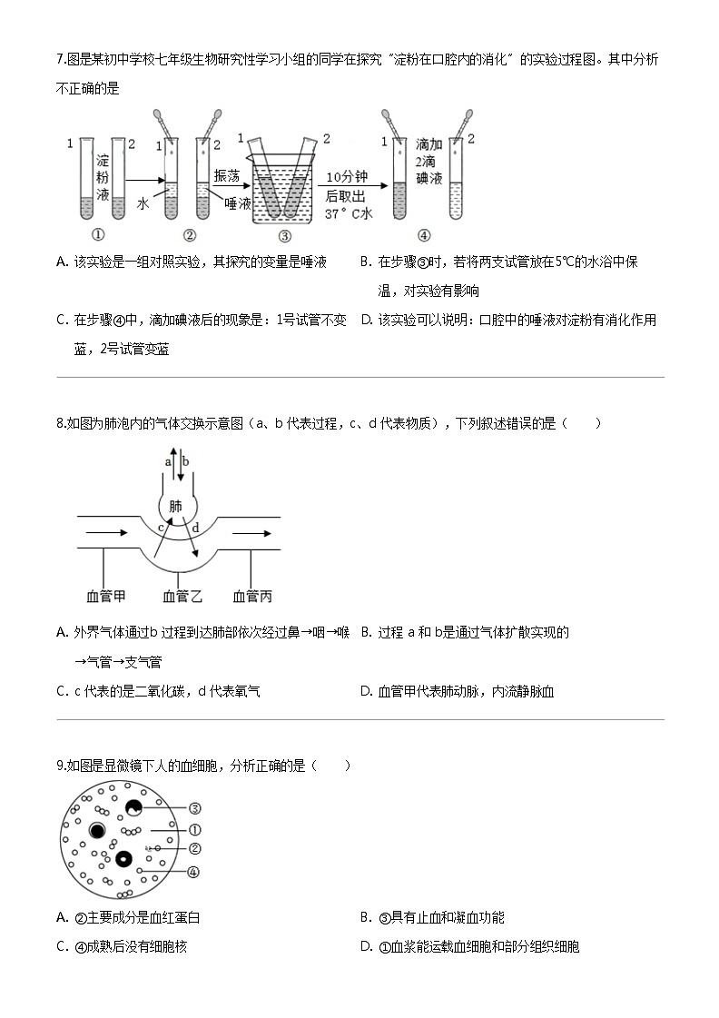 [生物]2023_2024学年吉林长春朝阳区长春外国语学校初一下学期期中生物试卷02