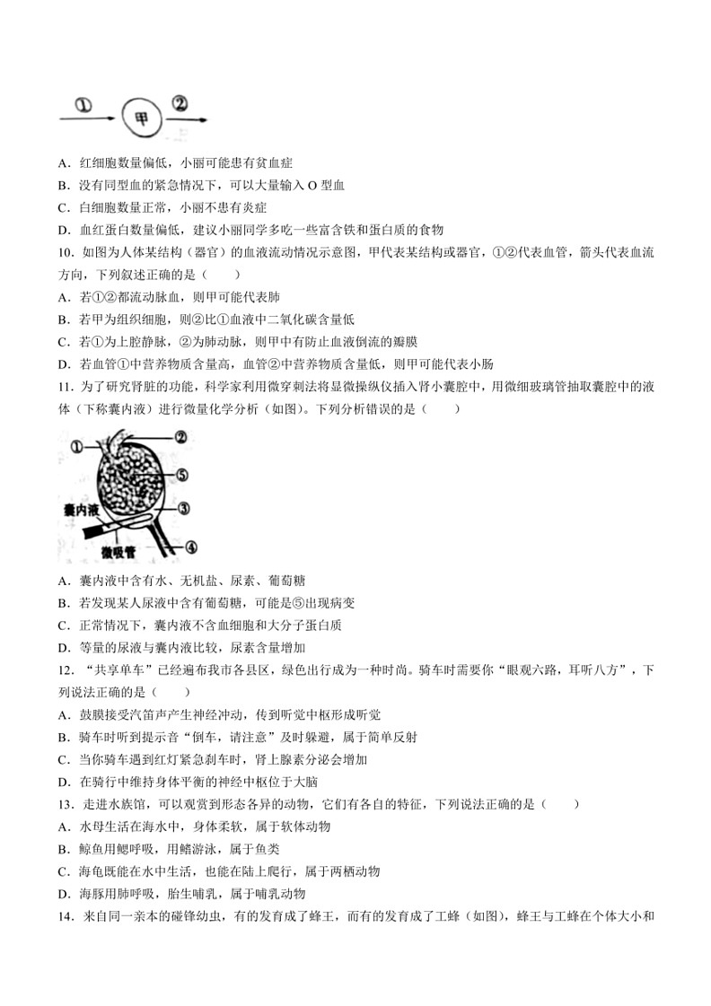 [生物]2024年山东省聊城市中考生物试题(无答案)03