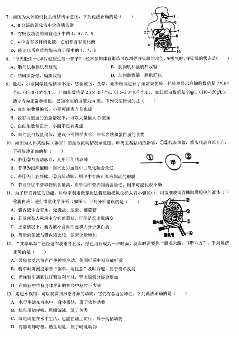 [生物]2024年山东省聊城市中考生物真题（PDF版，无答案）02