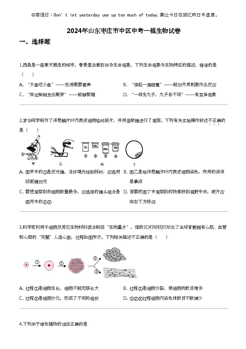 [生物]2024年山东枣庄市中区中考一模生物试卷01