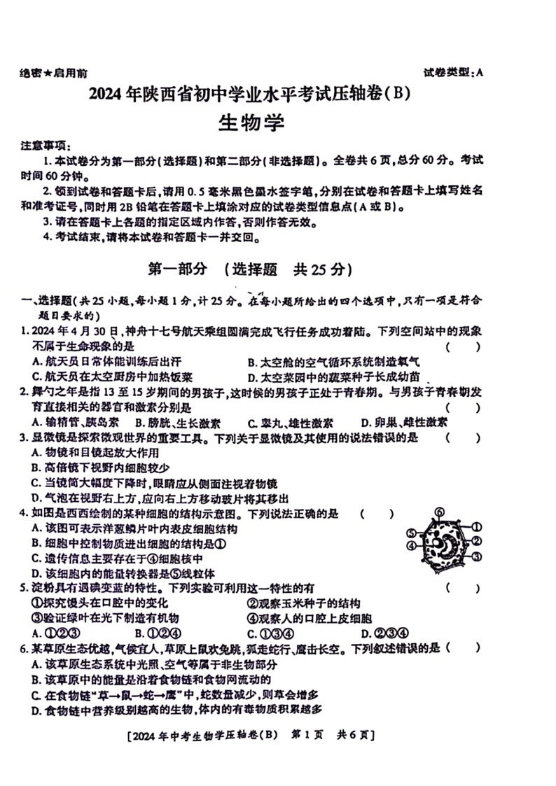 [生物]2024年陕西省咸阳市永寿县部分学校八年级中考模拟预测生物学试题（B）（PDF版含答案）第1页