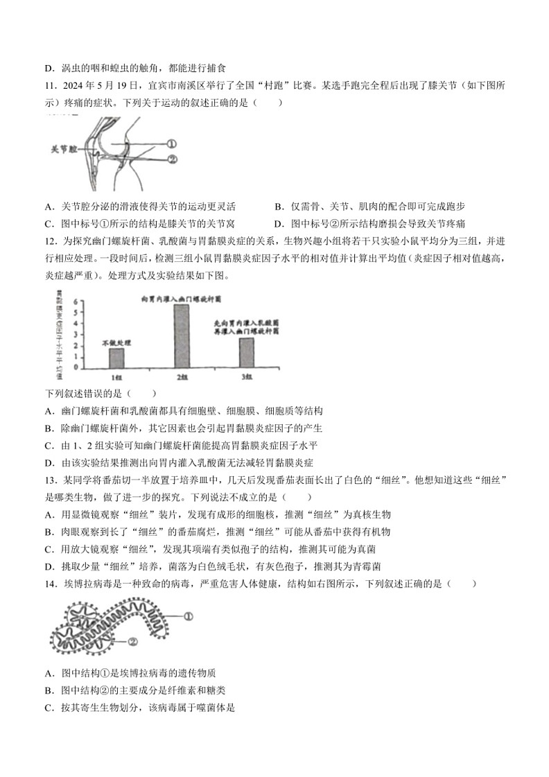 [生物]2024年四川省宜宾市中考生物真题(无答案)03