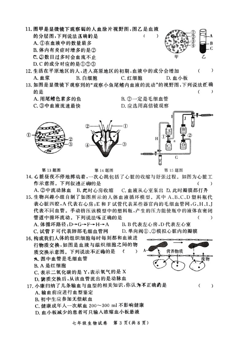 [生物]河南省郑州市高新区2023～2024学年七年级下学期期末调研生物试卷（pdf版无答案）03
