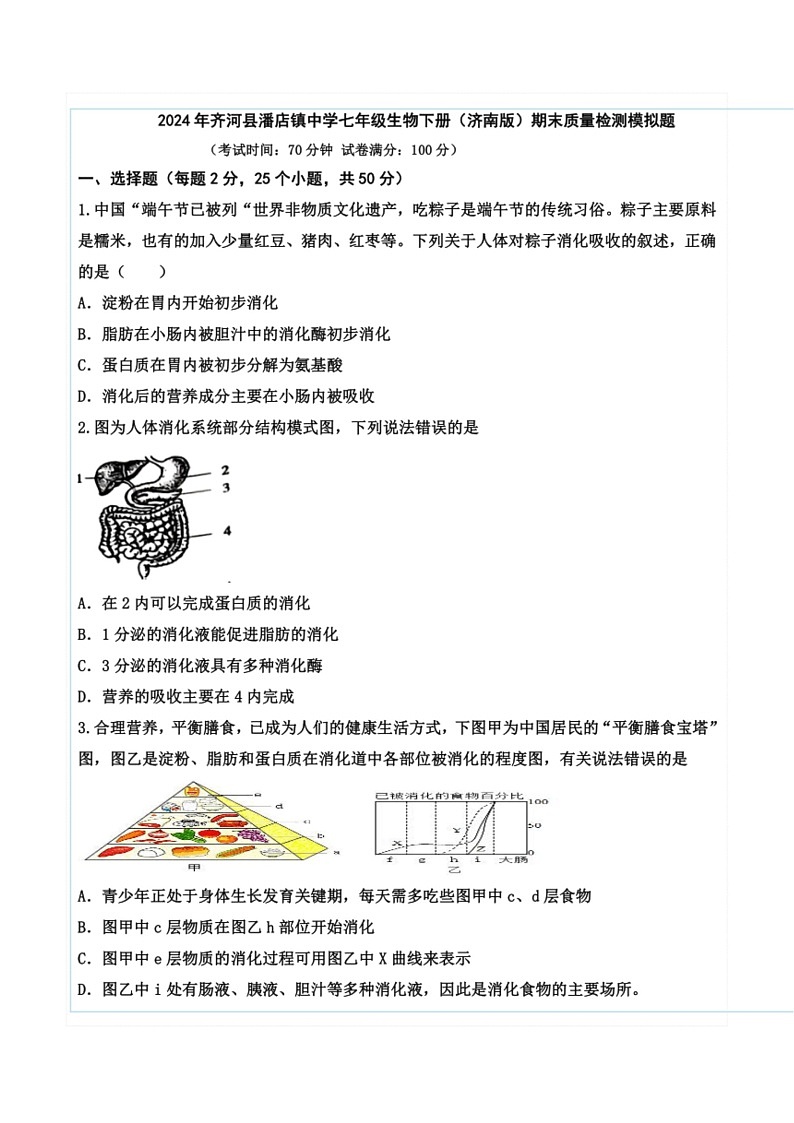 [生物]山东省德州市齐河县潘店镇中学2023～2024学年七年级下学期期末质量检测生物模拟题（含答案）01