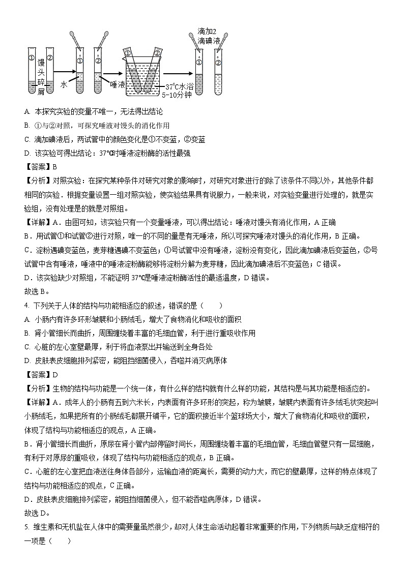[生物]山东省枣庄市台儿庄区2023-2024学年七年级下学期期中试题（解析版）02