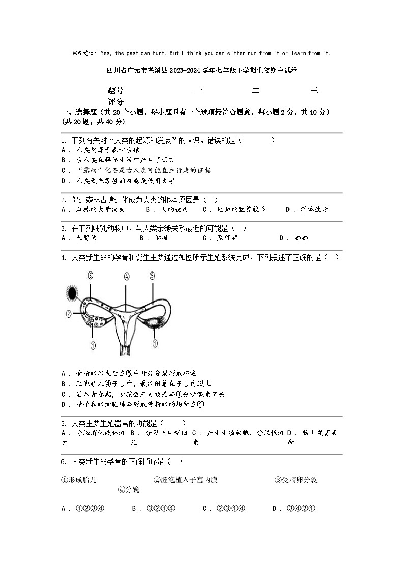 [生物]四川省广元市苍溪县2023-2024学年七年级下学期生物期中试卷第1页