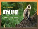 八年级生物上册哺乳动物PPT课件