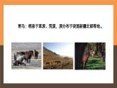 八年级生物上册哺乳动物PPT课件