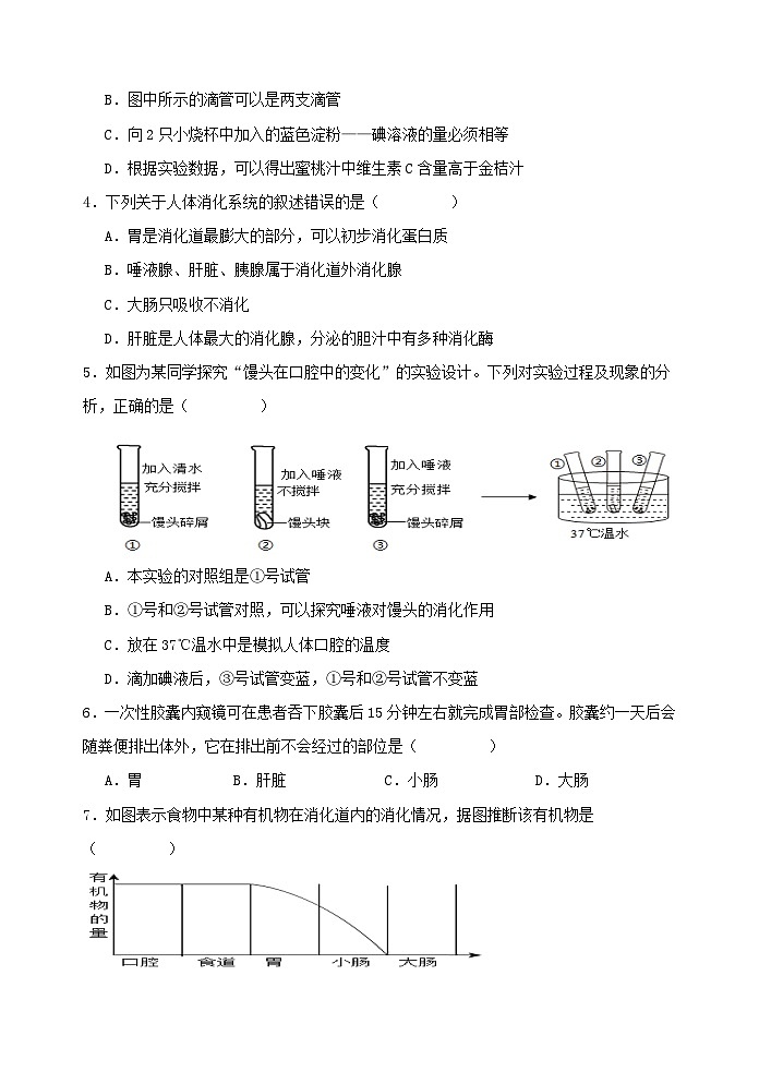 河北省邯郸市2023-2024学年七年级下学期期末考试生物模拟试卷02
