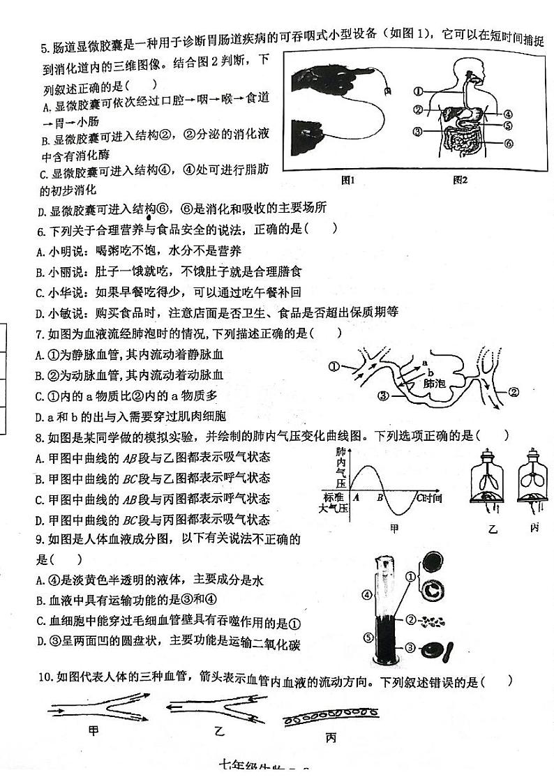 河南省信阳市淮滨县2023-2024学年七年级下学期6月期末生物试题第2页