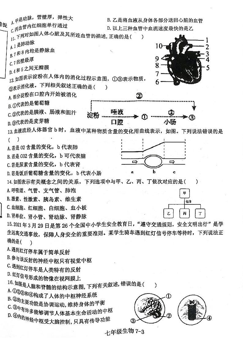 河南省信阳市淮滨县2023-2024学年七年级下学期6月期末生物试题第3页