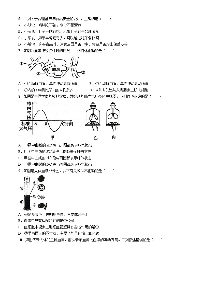 河南省信阳市淮滨县2023-2024学年七年级下学期6月期末生物试题(无答案)第2页