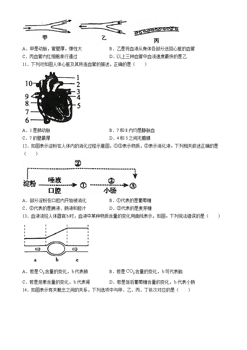 河南省信阳市淮滨县2023-2024学年七年级下学期6月期末生物试题(无答案)第3页