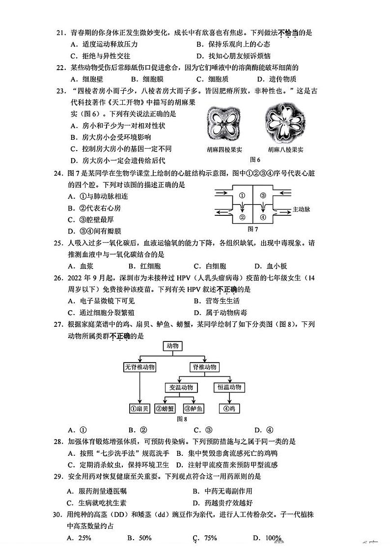 2023年广东省深圳市中考生物试题03