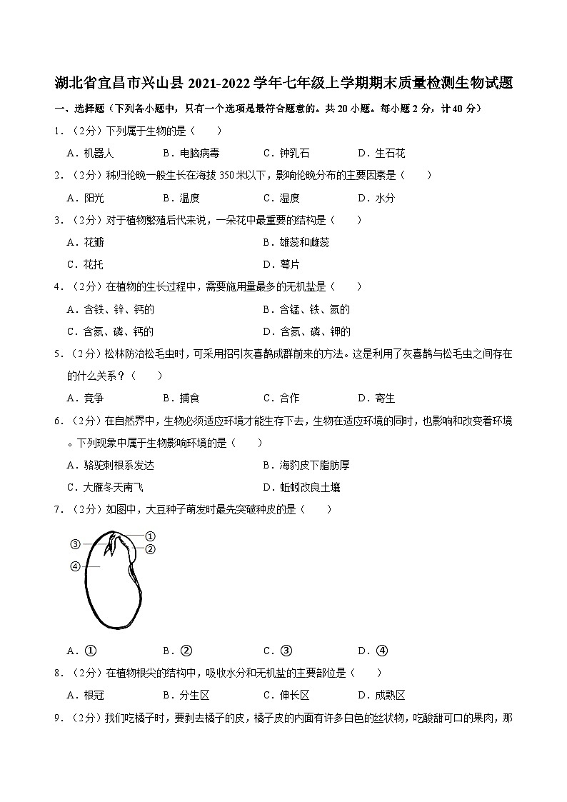 湖北省宜昌市兴山县2021-2022学年七年级上学期期末质量检测生物试题01