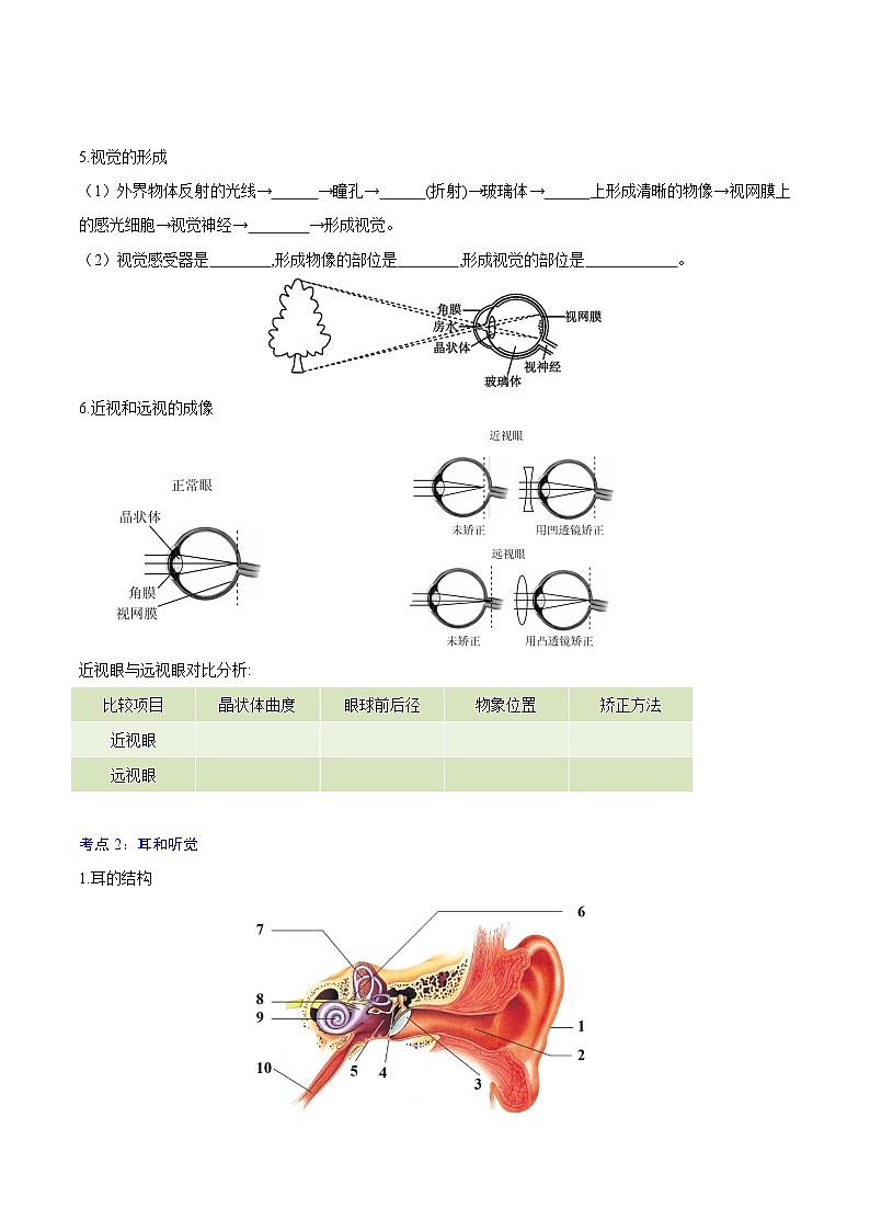 4.6人体生命活动的调节【速记清单】（原卷版+解析版）2023—2024学年人教版生物七年级下册03
