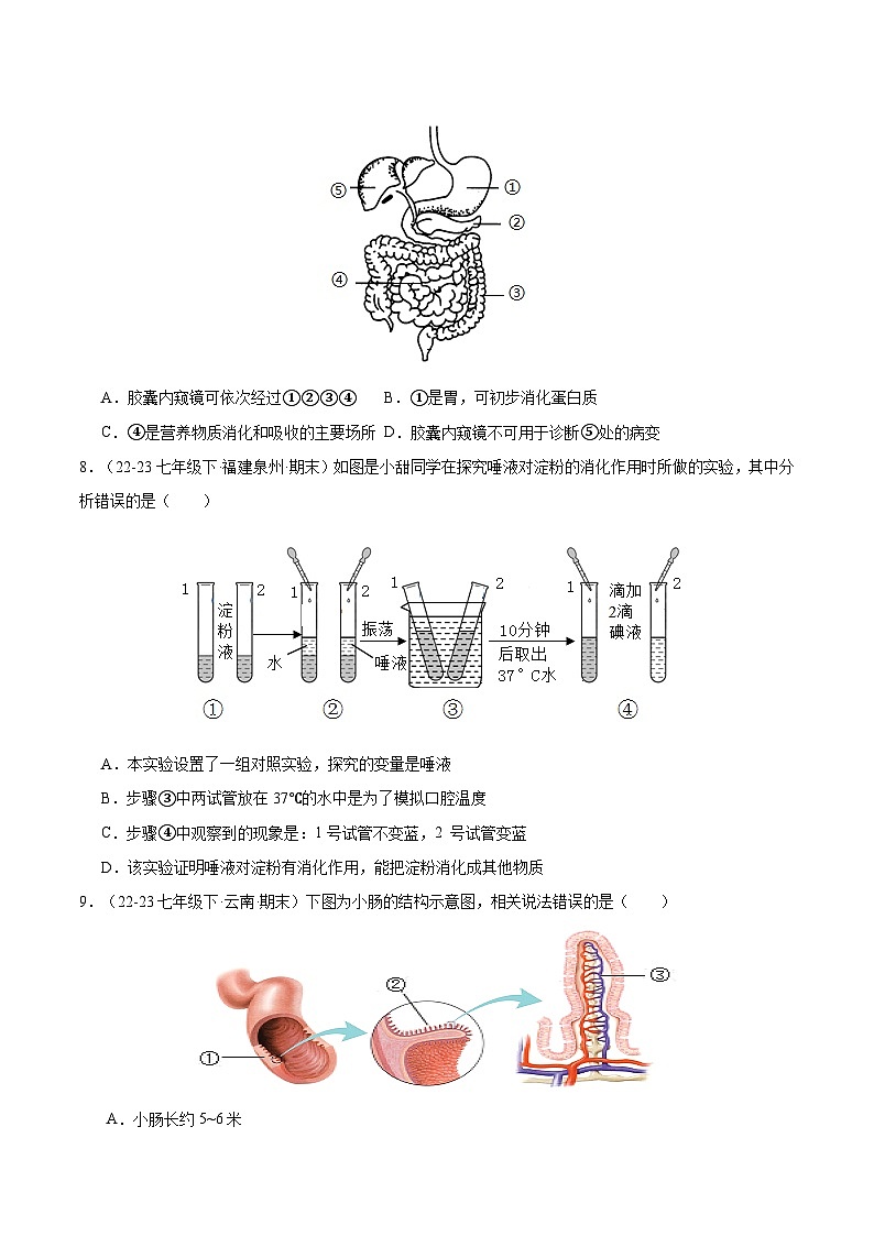专题02  人体的营养（原卷版）第2页