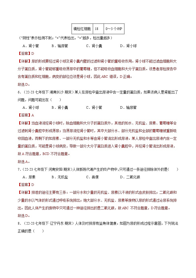 专题05 人体内废物的排出（解析版）第3页