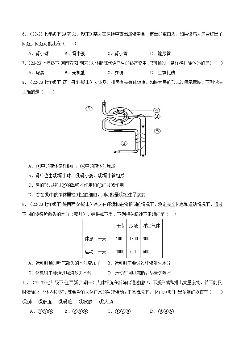 专题05 人体内废物的排出（原卷版）第2页