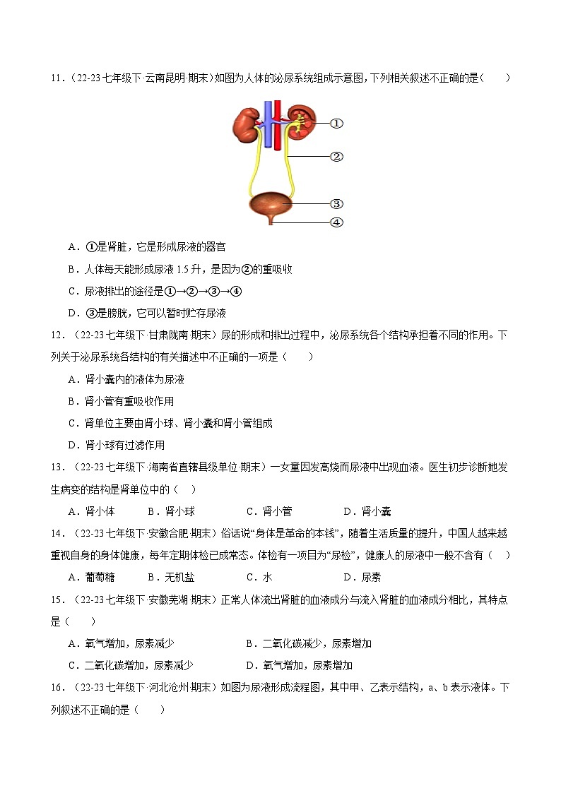 专题05 人体内废物的排出（原卷版）第3页