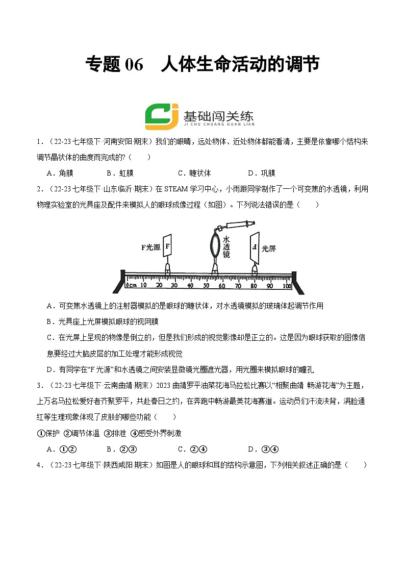 专题06  人体生命活动的调节（原卷版）第1页