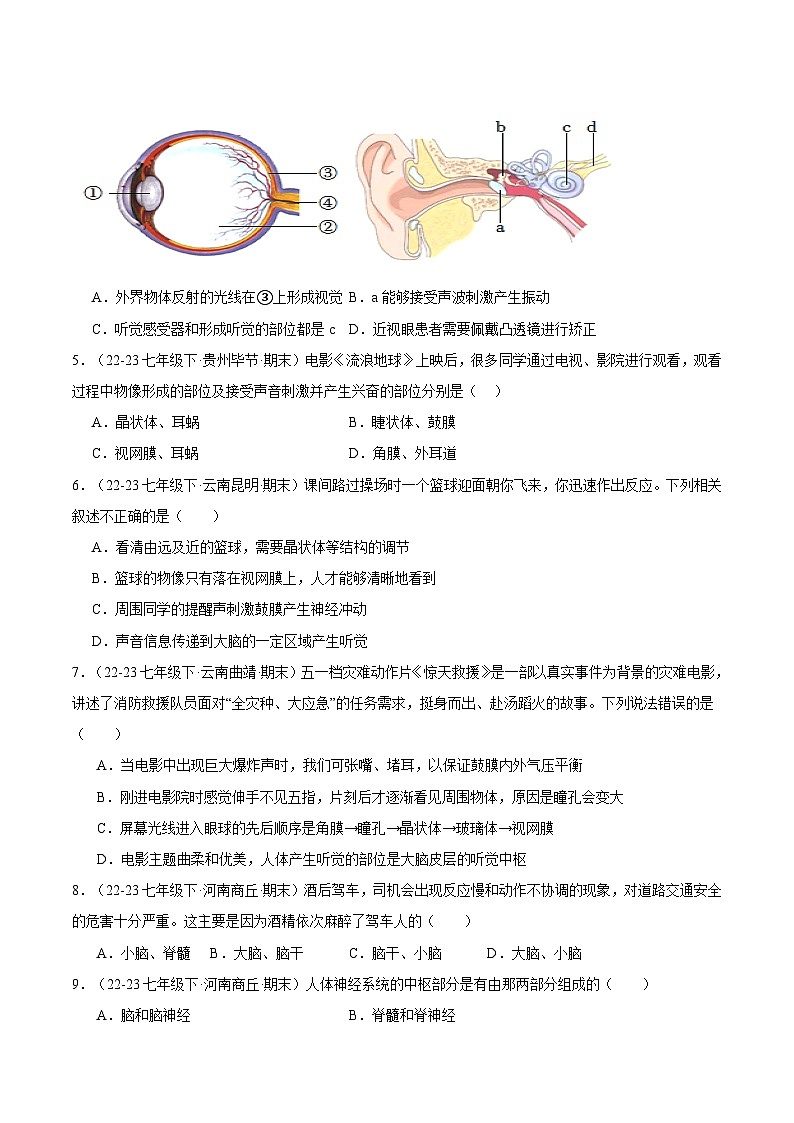 专题06  人体生命活动的调节（原卷版）第2页
