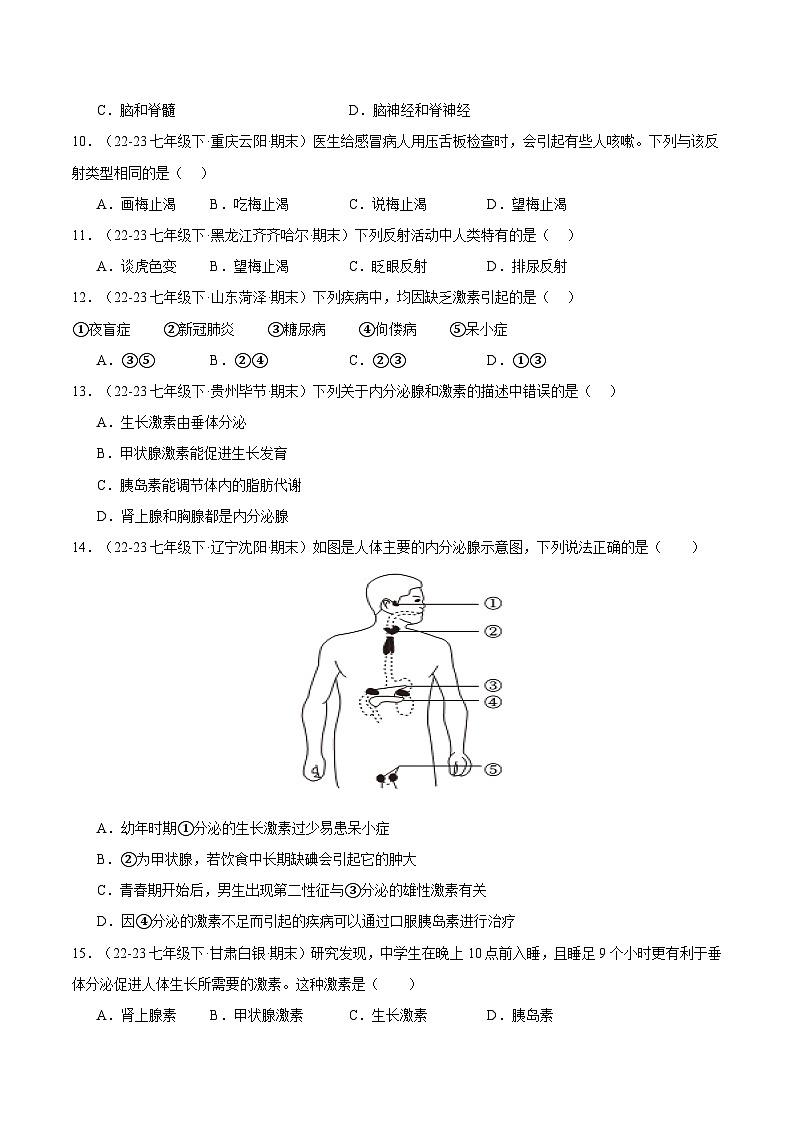 专题06  人体生命活动的调节（原卷版）第3页